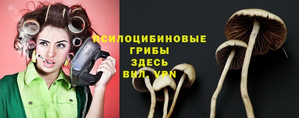 ГАЛЛЮЦИНОГЕННЫЕ ГРИБЫ Абаза