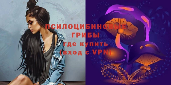 ГАЛЛЮЦИНОГЕННЫЕ ГРИБЫ Абаза
